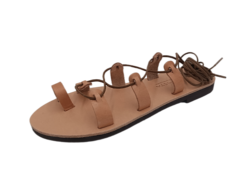 13.png